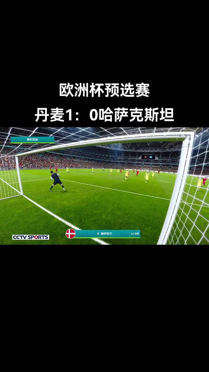 丹麦队在欧洲杯预选赛中获胜,晋级下一轮比赛 丹麦队在欧洲杯预选赛中获胜,晋级下一轮比赛