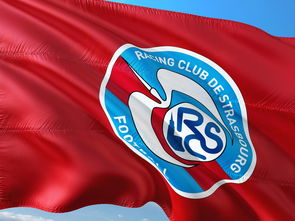 爱游戏娱乐-帕尔梅拉斯严阵以待，防守端力求零封对手