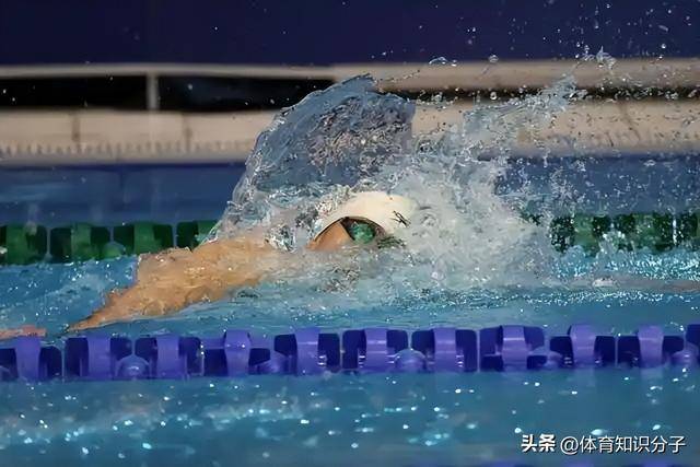 匈牙利选手在游泳项目中夺金 匈牙利选手在游泳项目中夺金