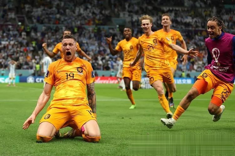 荷兰遭遇波兰，欧洲杯资格前景一片未卜的简单介绍